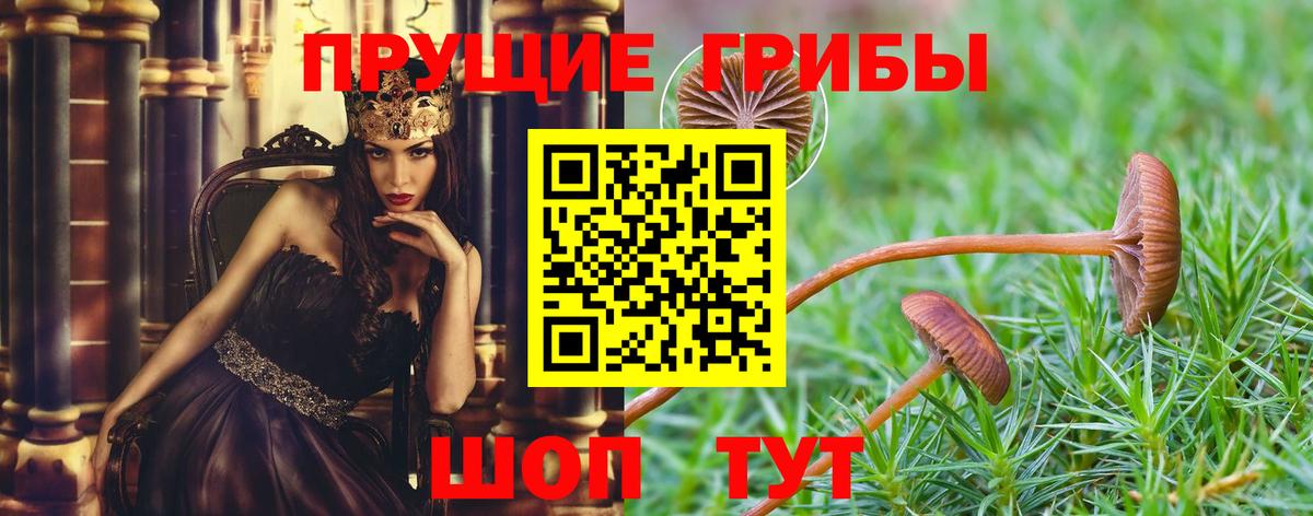 Галлюциногенные грибы Psilocybine cubensis  цена   Вход с VPN  Муравленко  Псилоцибиновые грибы Cubensis 